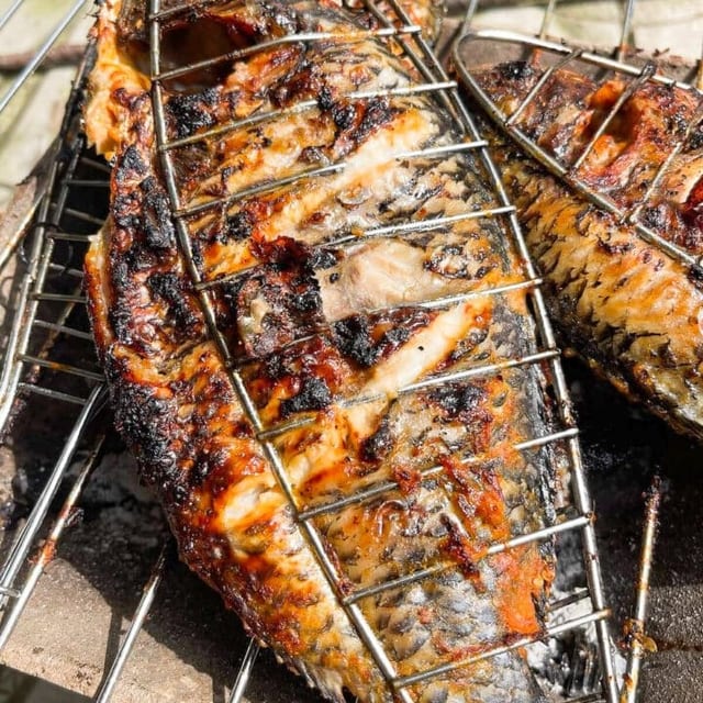 Full Grilled Tilapia.